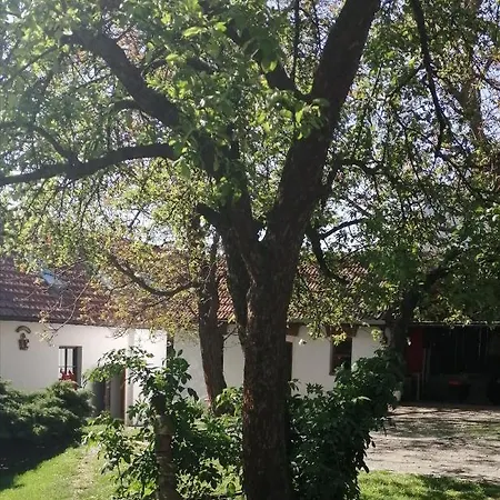 Keramicky A Vytvarny Atelier *