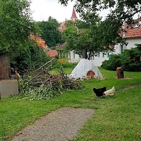 Keramicky A Vytvarny Atelier Konesin
